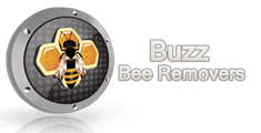 bee removals